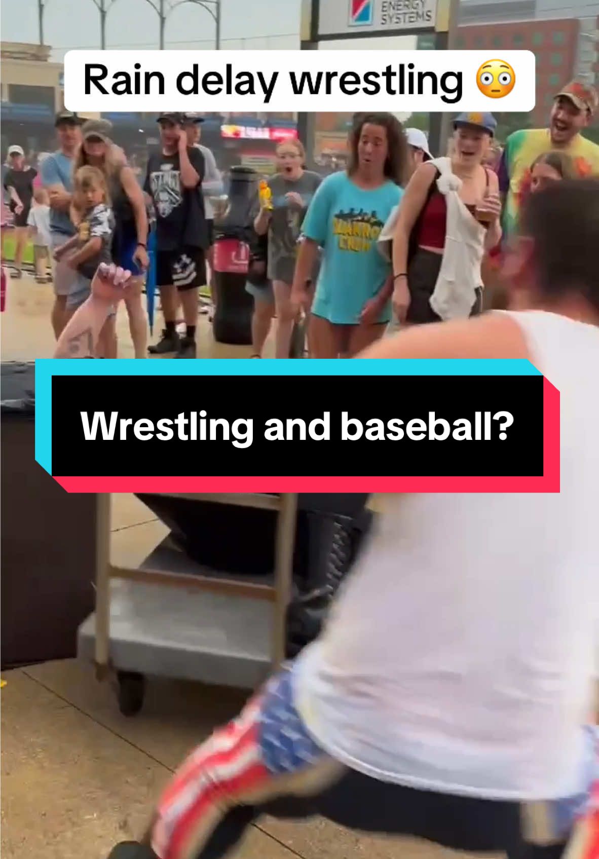 a wrestling match broke out during a minor league rain delay 🤣